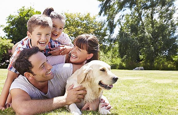 10 მიზეზი, თუ რატომ უნდა გვყავდეს სახლში შინაური ცხოველი