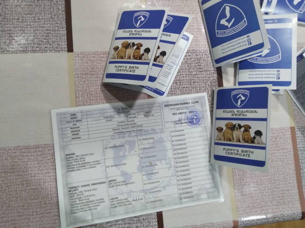 დობერმანი