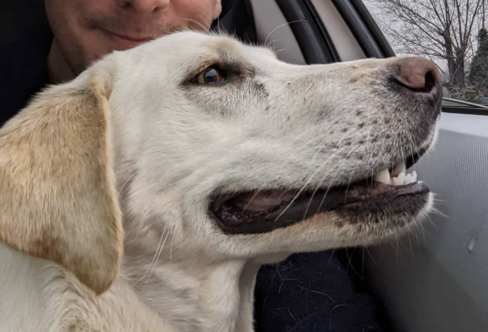 მეტისი ❤️