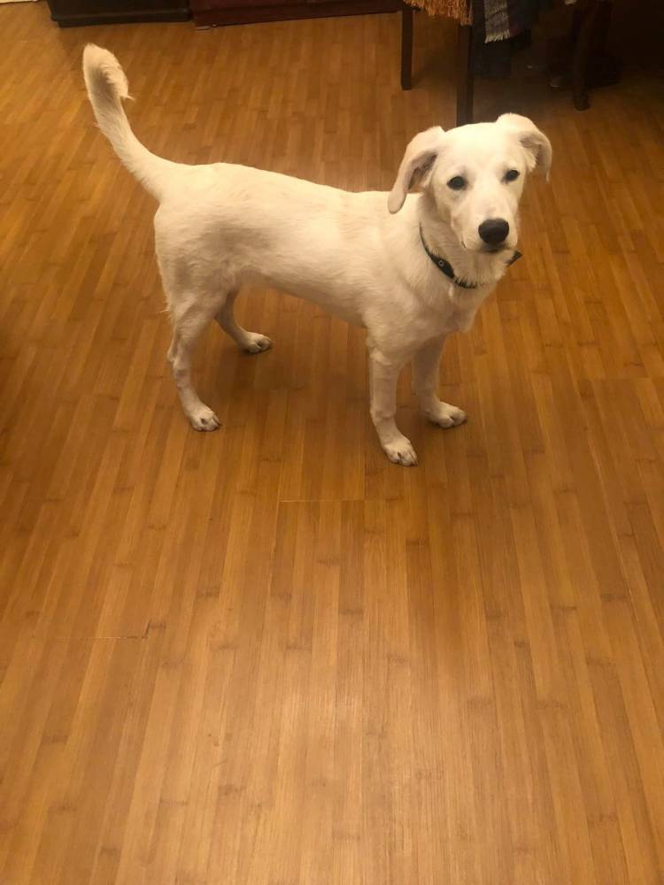 მეტისი ❤️