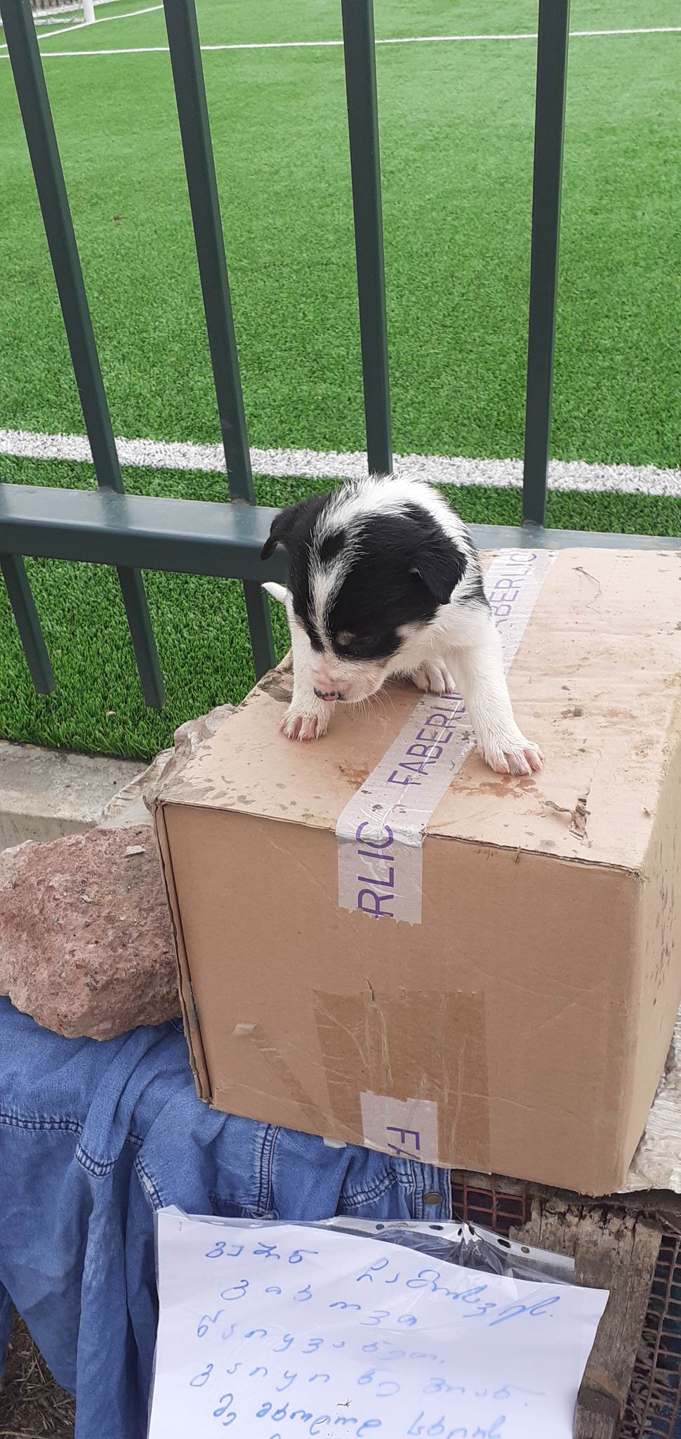 მეტისი ❤️