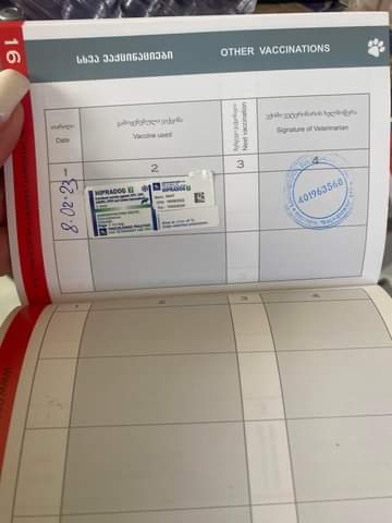 მალტეზე