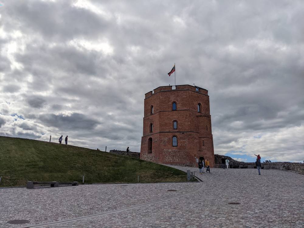 ინგლისური კოკერ სპანიელი