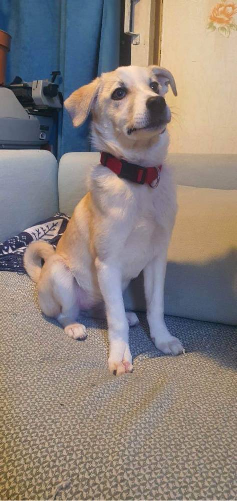 მეტისი ❤️