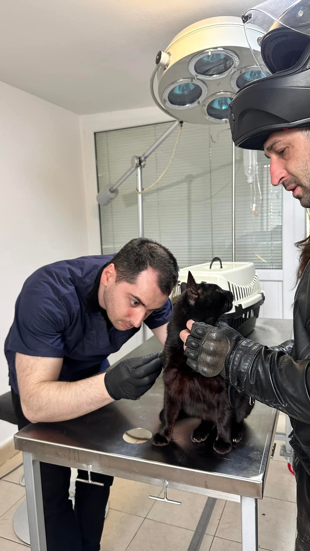 ვეტერინარი გამოძახებით