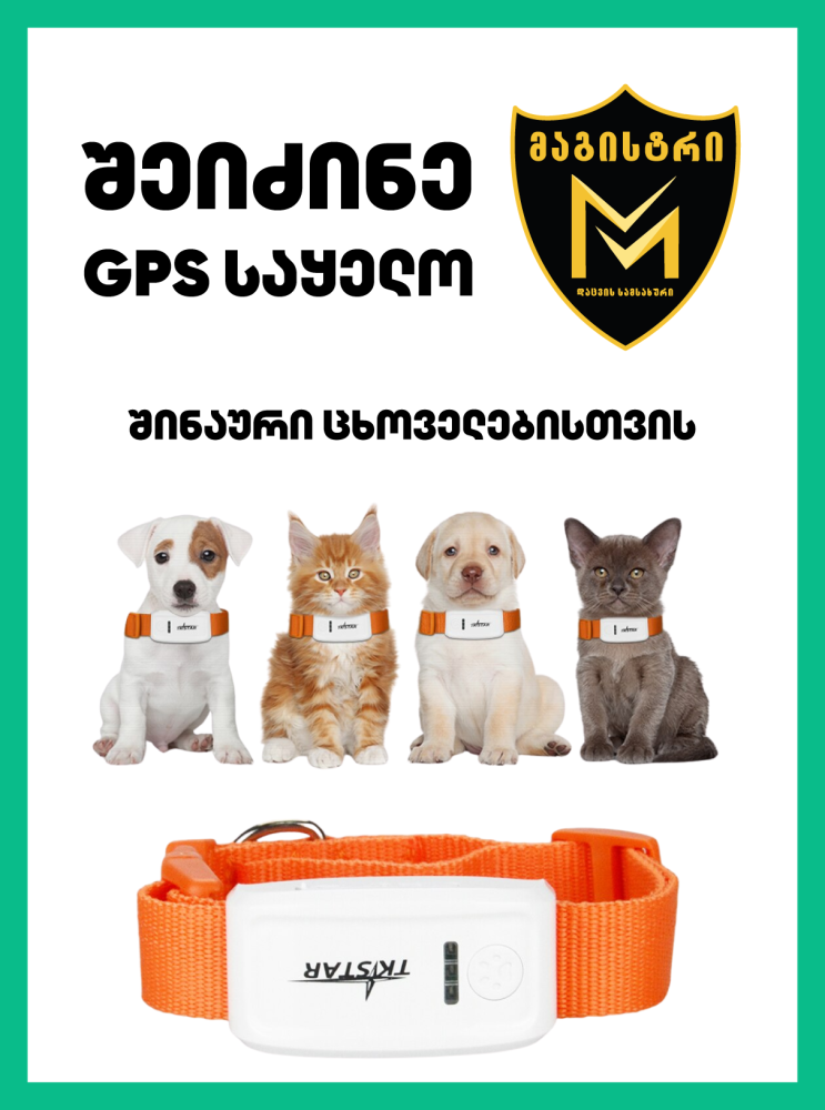 ყელსაბამი/თოკი