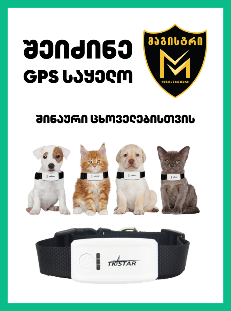 ყელსაბამი/თოკი