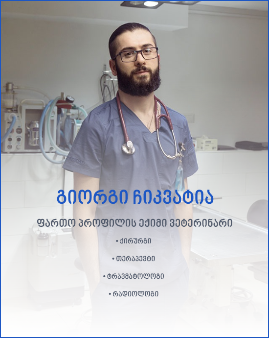 ვეტექიმი