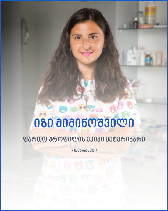 ვეტექიმი