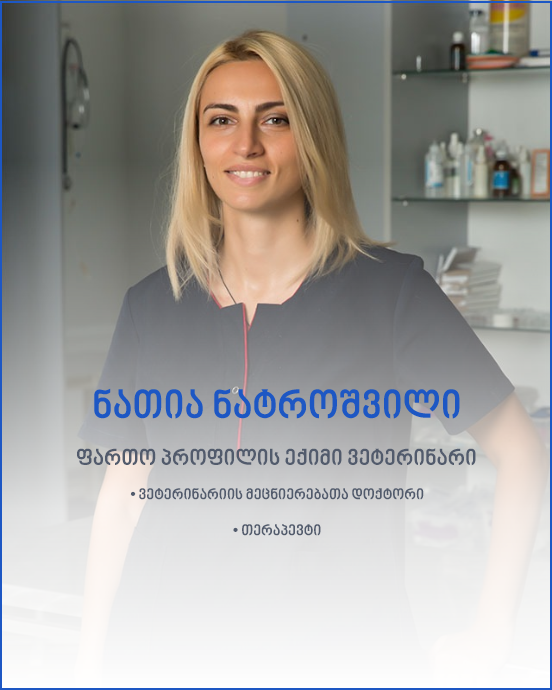 ვეტექიმი