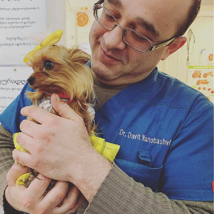 ვეტექიმი