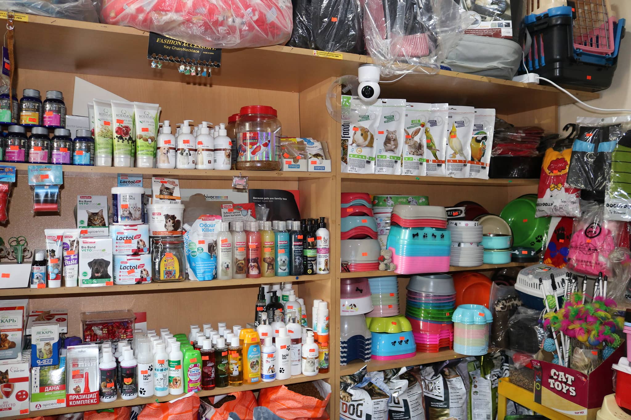 მაღაზია ნესი