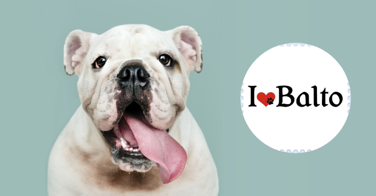 24 საათიანი სადღეღამისო ვეტკლინიკა ბალტო