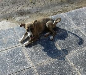 დაიკარგა მეტისი ❤️