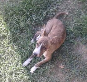 დაიკარგა მეტისი ❤️