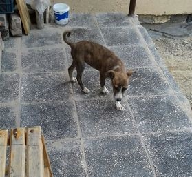 დაიკარგა მეტისი ❤️