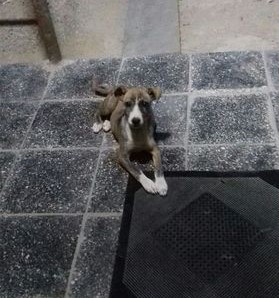 დაიკარგა მეტისი ❤️