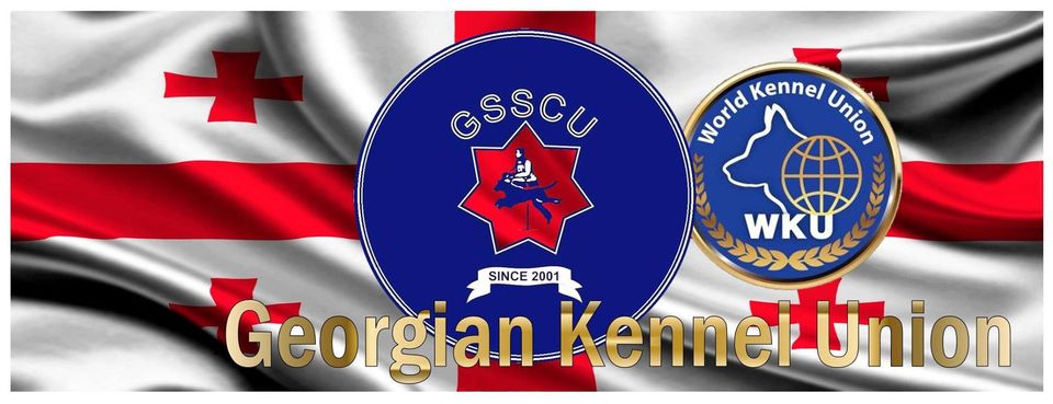 ძაღლების გამოფენა