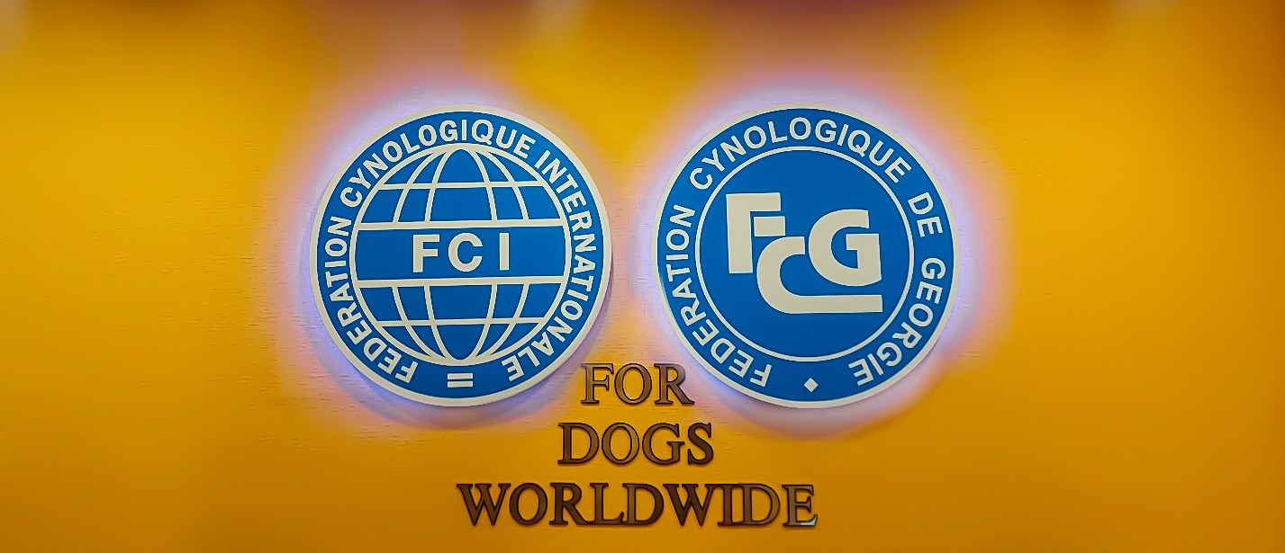 ძაღლების გამოფენა